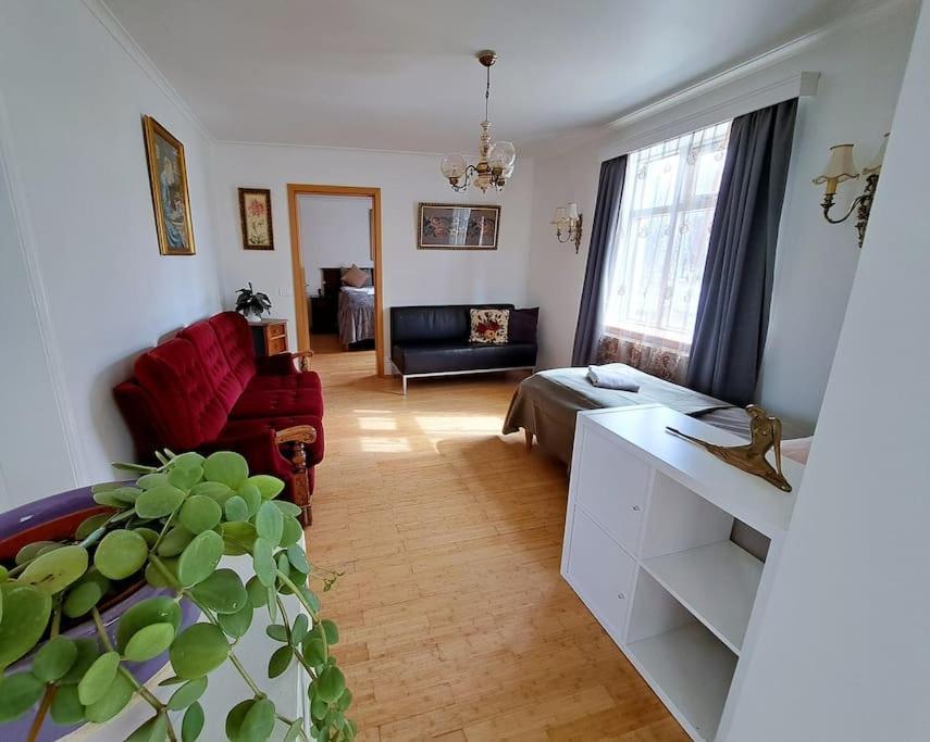 Spacious Apartment -Top Location Акурейри Екстериор снимка